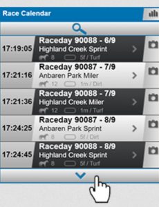 Kalender balapan Virtual Racing